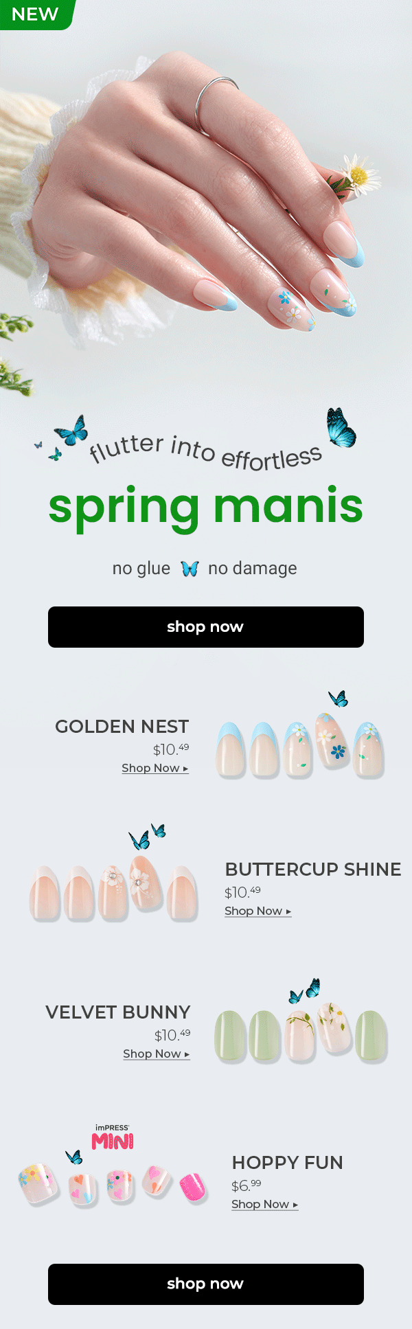 Spring · Email-1